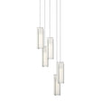 Hubbardton Forge 2023 Vintage Platinum Opal Glass (GG) Long Exos Glass 5-Light Pendant