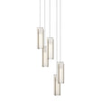 Hubbardton Forge 2023 Soft Gold Opal Glass (GG) Long Exos Glass 5-Light Pendant