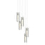 Hubbardton Forge 2023 Sterling Clear Glass (ZM) Long Exos Glass 5-Light Pendant