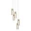 Hubbardton Forge 2023 Modern Brass Clear Glass (ZM) Long Exos Glass 5-Light Pendant