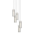 Hubbardton Forge 2023 Ink Opal Glass (GG) Long Exos Glass 5-Light Pendant