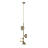 Hubbardton Forge 2022 Soft Gold Sterling Opal Glass (GG) Multi Brooklyn 4-Light Double Shade Vertical Pendant