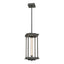 Hubbardton Forge 2023 Natural Iron Clear Glass (ZM) Multi Athena 1-Light Medium LED Lantern
