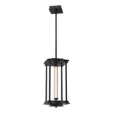 Hubbardton Forge 2023 Ink Clear Glass (ZM) Multi Athena 1-Light Medium LED Lantern