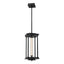 Hubbardton Forge 2023 Ink Clear Glass (ZM) Multi Athena 1-Light Medium LED Lantern