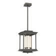 Hubbardton Forge 2023 Natural Iron Clear Glass (ZM) Multi Athena 3-Light LED Lantern