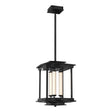 Hubbardton Forge 2023 Ink Clear Glass (ZM) Multi Athena 3-Light LED Lantern