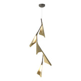 Hubbardton Forge 2020 Dark Smoke Modern Brass Standard Plume 5-Light LED Pendant