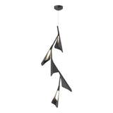 Hubbardton Forge 2020 Black Black Standard Plume 5-Light LED Pendant