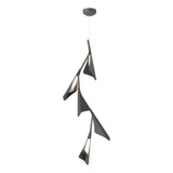 Hubbardton Forge 2020 Natural Iron Black Standard Plume 5-Light LED Pendant