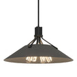 Hubbardton Forge 2017 Black Natural Iron Multi Henry Pendant
