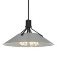 Hubbardton Forge 2017 Black Vintage Platinum Multi Henry Pendant