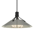 Hubbardton Forge 2017 Black Sterling Multi Henry Pendant