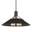 Hubbardton Forge 2017 Oil Rubbed Bronze Black Multi Henry Pendant