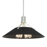 Hubbardton Forge 2017 Vintage Platinum Black Multi Henry Pendant