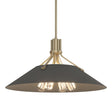 Hubbardton Forge 2017 Soft Gold Natural Iron Multi Henry Pendant