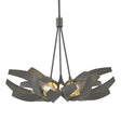 Hubbardton Forge 2020 Natural Iron Brass Clear Glass with Frosted Diffuser (YE) Multi Corona Brass Accent Pendant