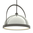 Hubbardton Forge 2020 Dark Smoke Sterling Multi Atlas Large Pendant