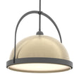 Hubbardton Forge 2020 Black Soft Gold Multi Atlas Large Pendant