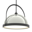 Hubbardton Forge 2020 Black Sterling Multi Atlas Large Pendant