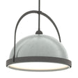 Hubbardton Forge 2020 Natural Iron Vintage Platinum Multi Atlas Large Pendant
