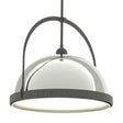 Hubbardton Forge 2020 Natural Iron Sterling Multi Atlas Large Pendant