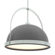Hubbardton Forge 2020 Vintage Platinum Black Multi Atlas Large Pendant