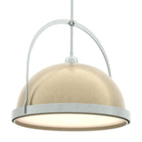 Hubbardton Forge 2020 Vintage Platinum Soft Gold Multi Atlas Large Pendant