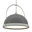 Hubbardton Forge 2020 Sterling Black Multi Atlas Large Pendant