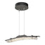 Hubbardton Forge 2023 Natural Iron Clear Glass (ZM) Standard Glissade LED Pendant