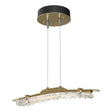 Hubbardton Forge 2023 Modern Brass Clear Glass (ZM) Standard Glissade LED Pendant