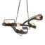 Hubbardton Forge 2018 Black Clear Glass (ZM) Standard Graffiti Pendant