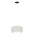 Hubbardton Forge 2007 Bronze Natural Anna Shade (SF) Multi Exos Single Shade Pendant