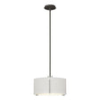 Hubbardton Forge 2007 Dark Smoke Natural Anna Shade (SF) Multi Exos Single Shade Pendant