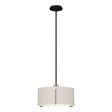 Hubbardton Forge 2007 Black Flax Shade (SE) Multi Exos Single Shade Pendant