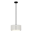 Hubbardton Forge 2007 Black Natural Anna Shade (SF) Multi Exos Single Shade Pendant