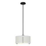 Hubbardton Forge 2007 Oil Rubbed Bronze Natural Anna Shade (SF) Multi Exos Single Shade Pendant