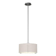 Hubbardton Forge 2007 Vintage Platinum Flax Shade (SE) Multi Exos Single Shade Pendant