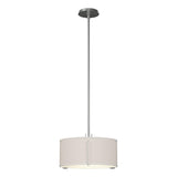 Hubbardton Forge 2007 Vintage Platinum Flax Shade (SE) Multi Exos Single Shade Pendant