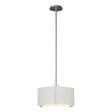 Hubbardton Forge 2007 Vintage Platinum Natural Anna Shade (SF) Multi Exos Single Shade Pendant