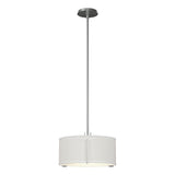 Hubbardton Forge 2007 Vintage Platinum Natural Anna Shade (SF) Multi Exos Single Shade Pendant