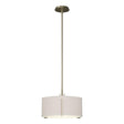 Hubbardton Forge 2007 Soft Gold Flax Shade (SE) Multi Exos Single Shade Pendant