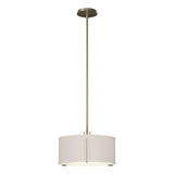 Hubbardton Forge 2007 Soft Gold Flax Shade (SE) Multi Exos Single Shade Pendant