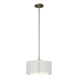 Hubbardton Forge 2007 Soft Gold Natural Anna Shade (SF) Multi Exos Single Shade Pendant