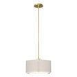 Hubbardton Forge 2007 Modern Brass Flax Shade (SE) Multi Exos Single Shade Pendant