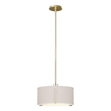 Hubbardton Forge 2007 Modern Brass Flax Shade (SE) Multi Exos Single Shade Pendant