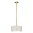 Hubbardton Forge 2007 Modern Brass Natural Anna Shade (SF) Multi Exos Single Shade Pendant