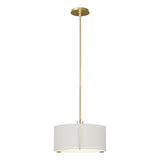Hubbardton Forge 2007 Modern Brass Natural Anna Shade (SF) Multi Exos Single Shade Pendant