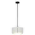 Hubbardton Forge 2007 Ink Natural Anna Shade (SF) Multi Exos Single Shade Pendant