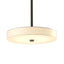 Hubbardton Forge 2015 Dark Smoke Spun Frost (SH) Multi Disq LED Pendant